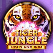 VIN88 Cockfight Arena